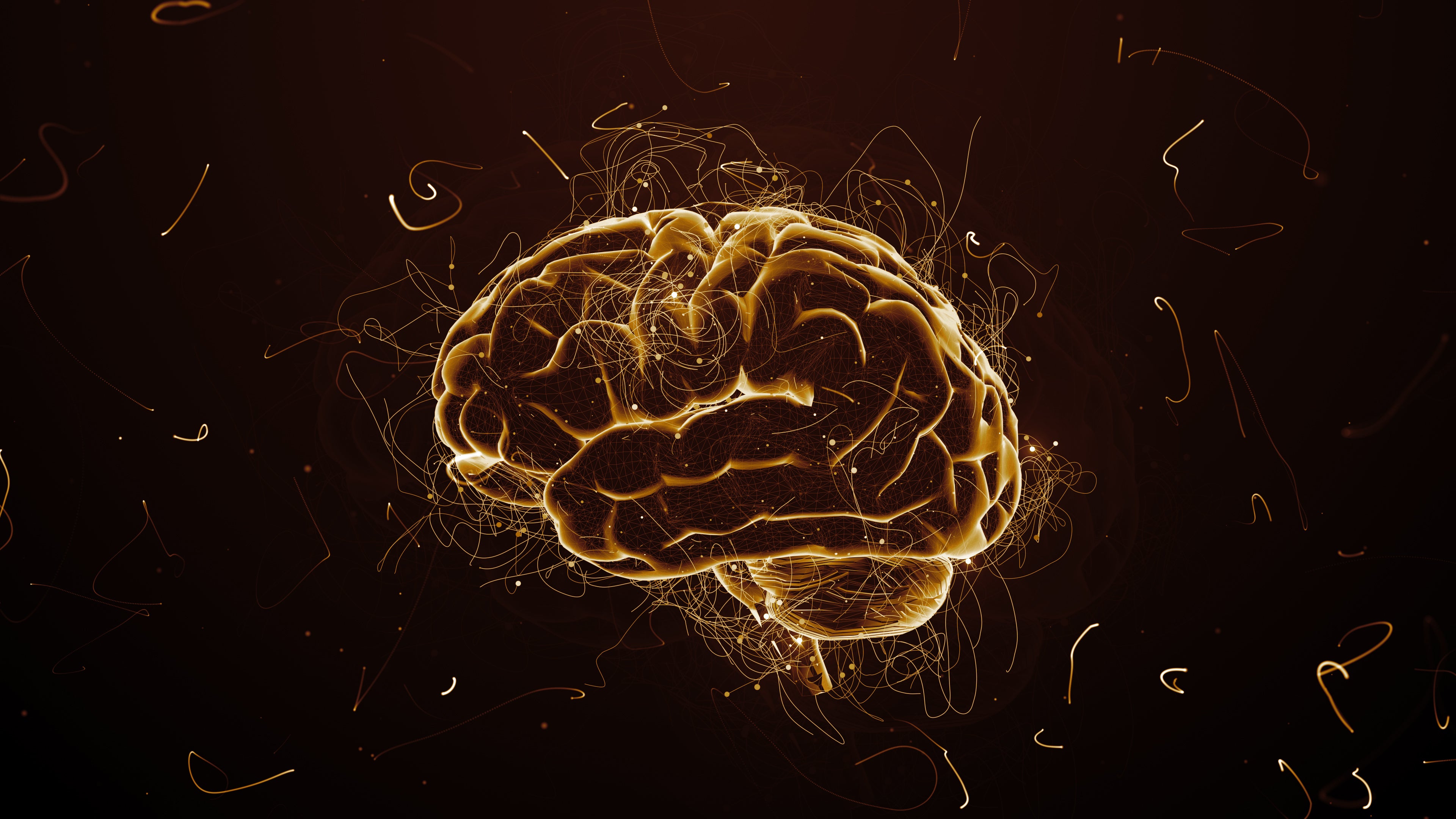 Nejlepší nootropika pro posílení funkce mozku