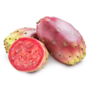 Opuncie mexická