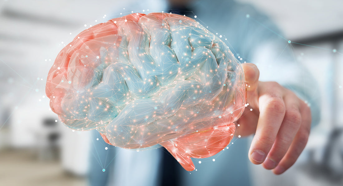 Advanced Mind – pro lepší paměť a vyšší mentální výkon