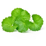 Centella asiatica extract