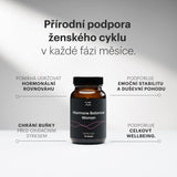 Hormone Balance Woman 2.0