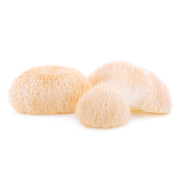 Lion's mane