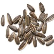 Vitamin E