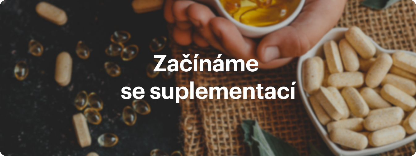 Suplementace pro začátečníky